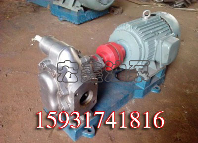 KCB-300不銹鋼齒輪泵